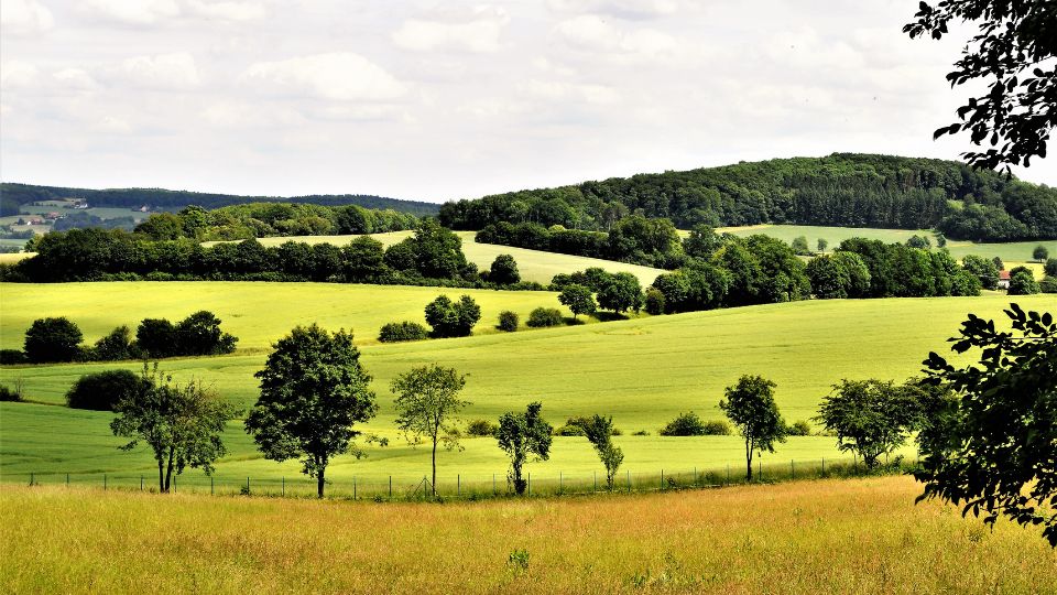 Landschaft im LWL Freilichtmuseum Detmold